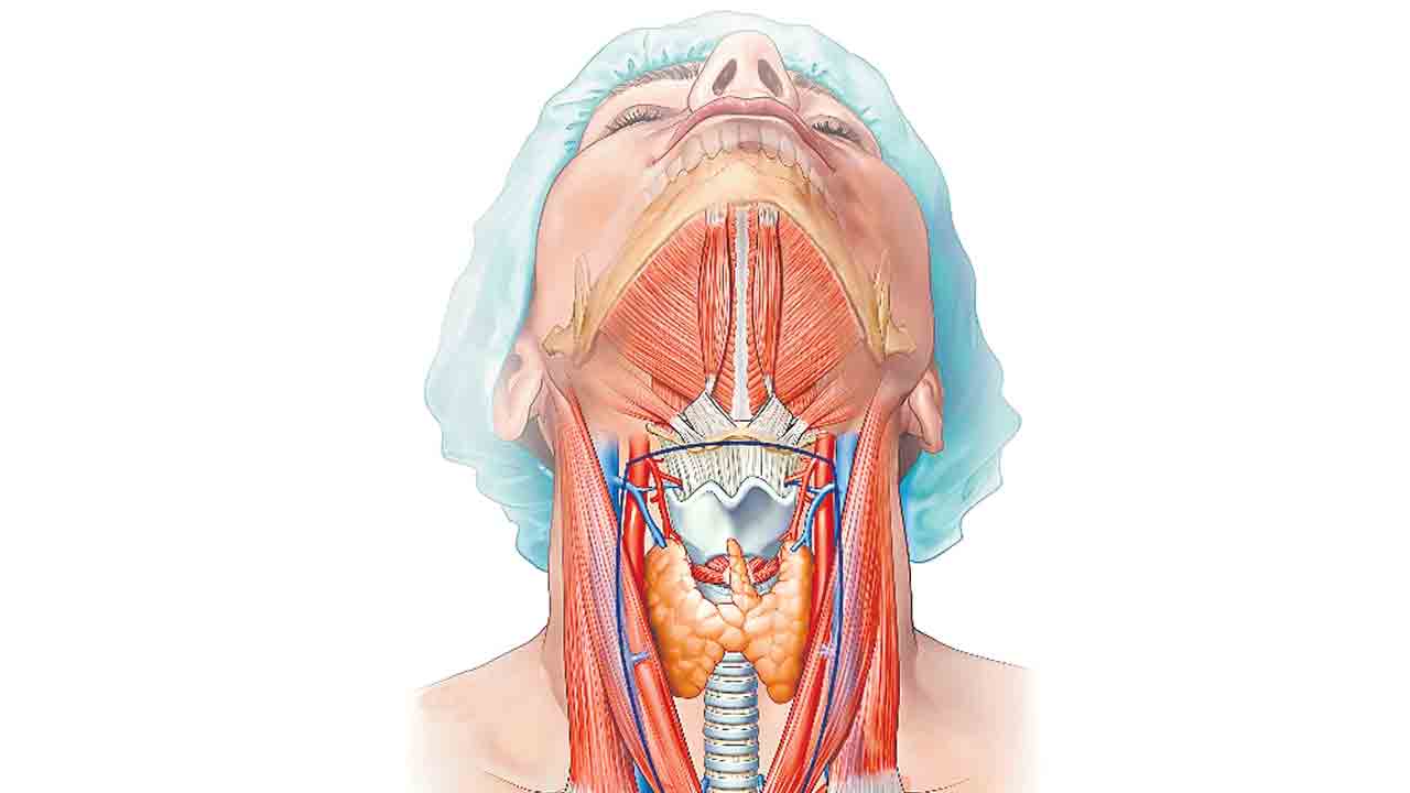 స్త్రీలలోనే థైరాయిడ్‌ క్యాన్సర్‌ ఎక్కువ