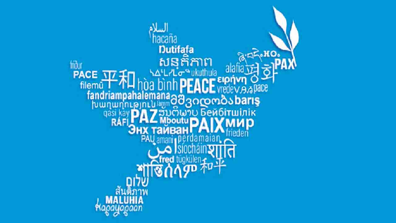 మాతృభాషా సౌందర్యం