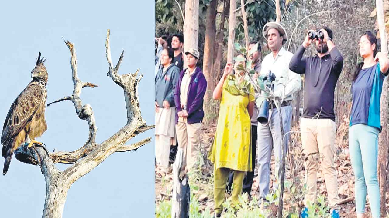 సెలయేటి తీరం..తీరొక్క రాగం..