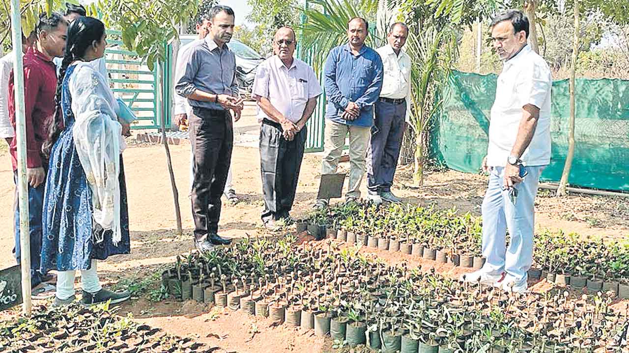 నర్సరీల నిర్వహణలో అలసత్వం వద్దు