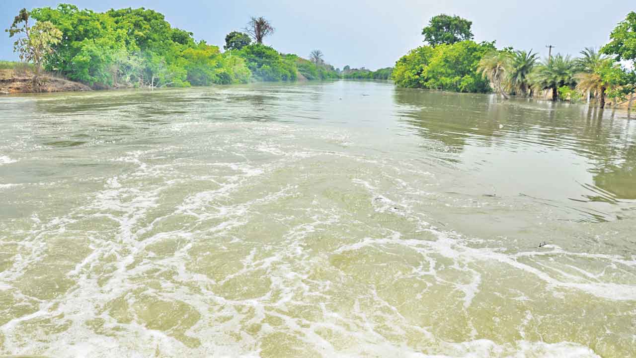 నేడు మల్లన్నసాగర్‌కు పంజాబ్‌ సీఎం