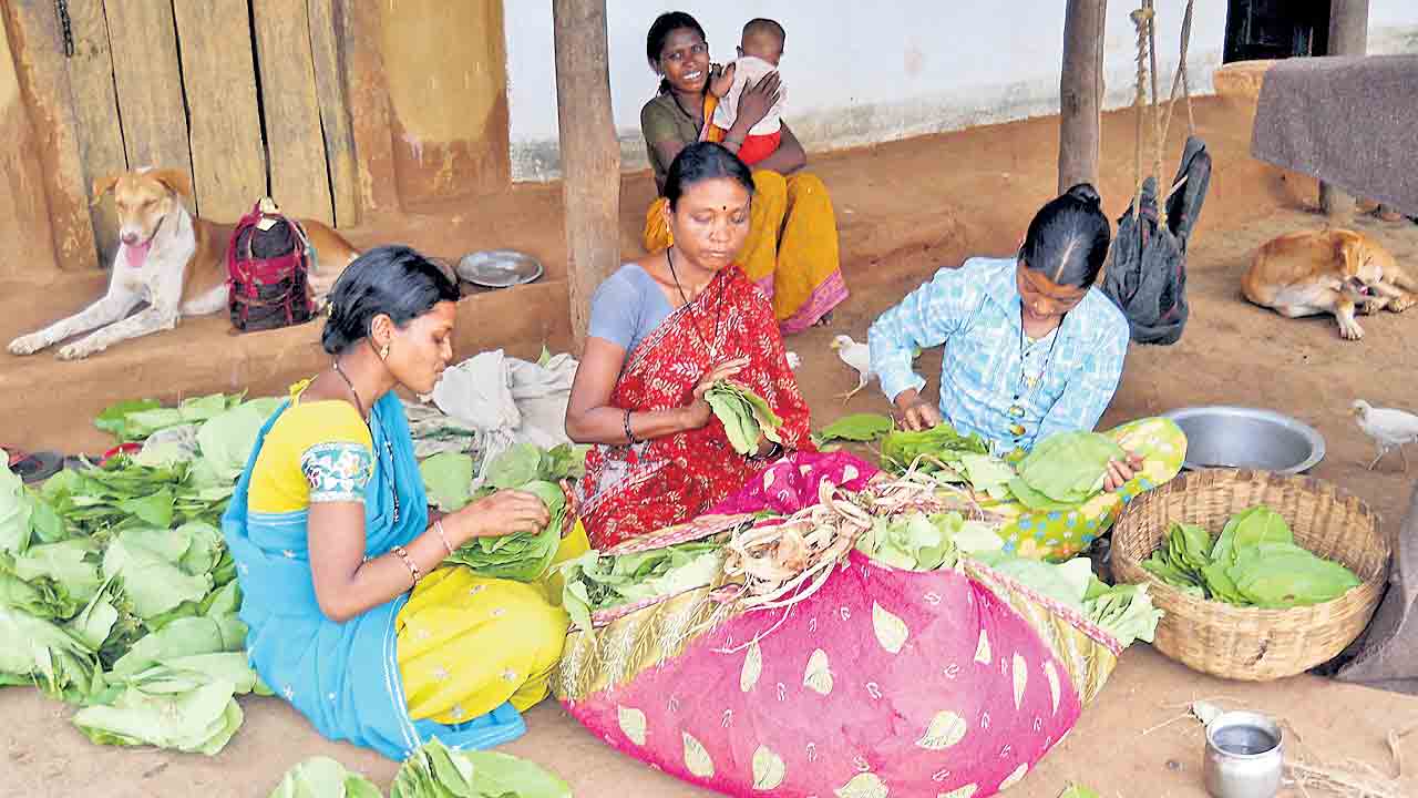 ‘తునికాకు’కూలీలకు బోనస్‌