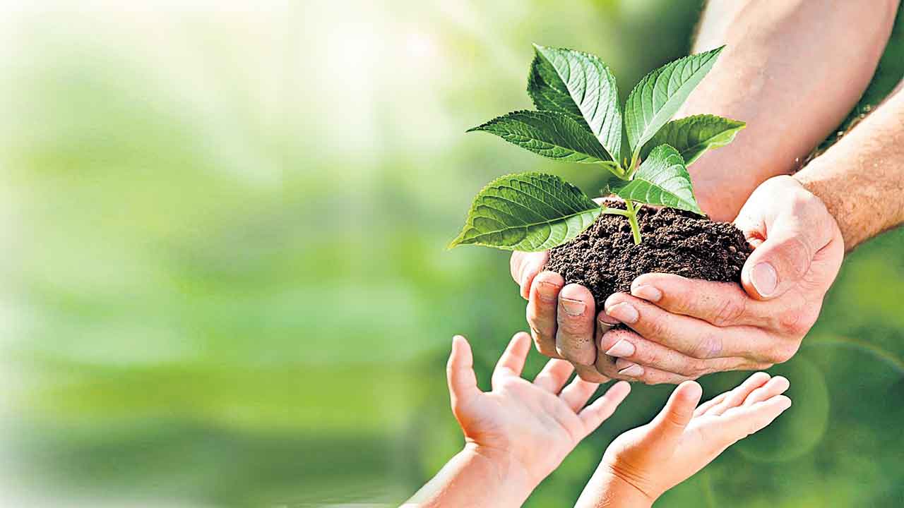 చెట్టు బంధం…