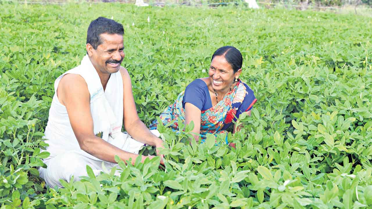 90 వేల లోపు రైతు రుణాల మాఫీ