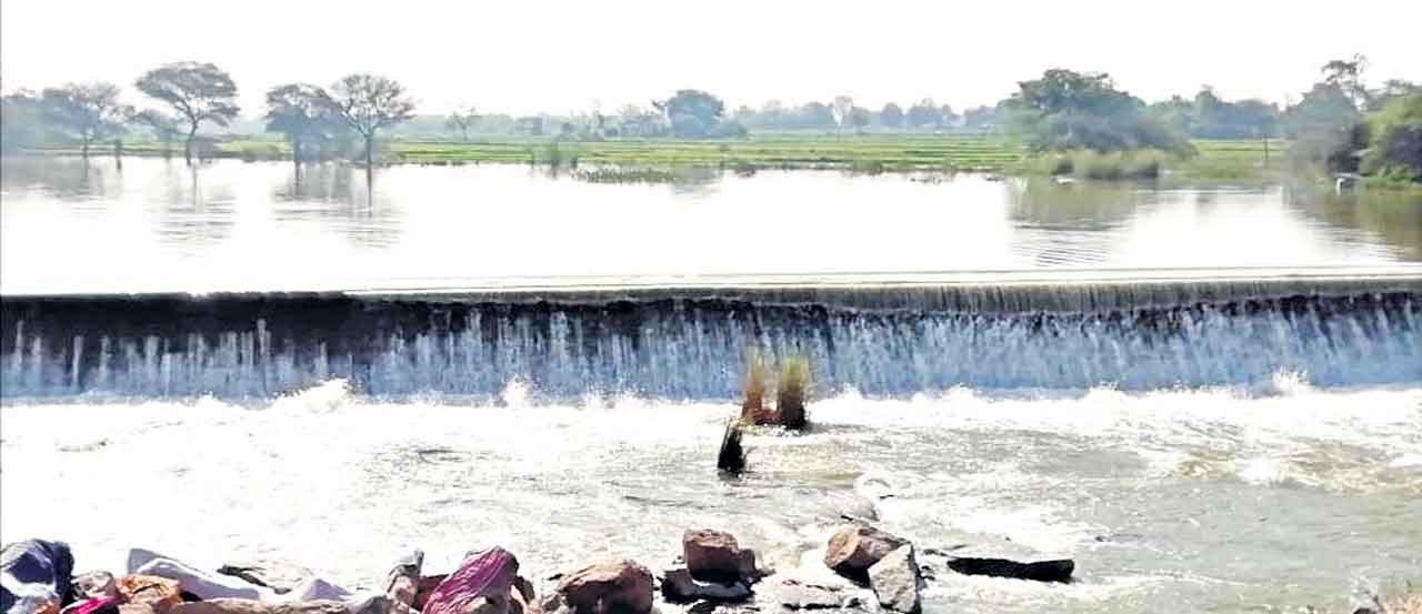 గోదావరి పరుగులు