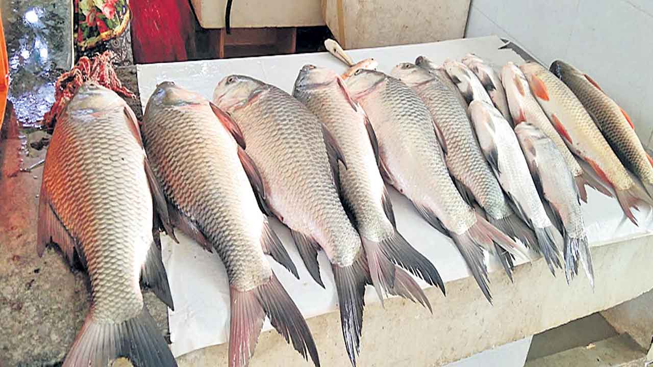 గజ్వేల్‌ సమీకృత మార్కెట్‌లో లోకల్‌ చేపలు