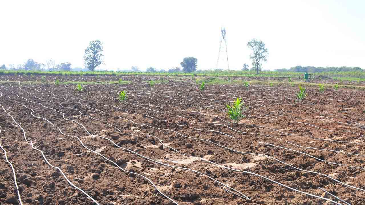 తీరొక్క పంటల అంతర్గాం