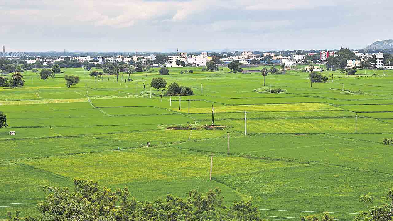 రికార్డు దిశగా యాసంగి పంటల సాగు