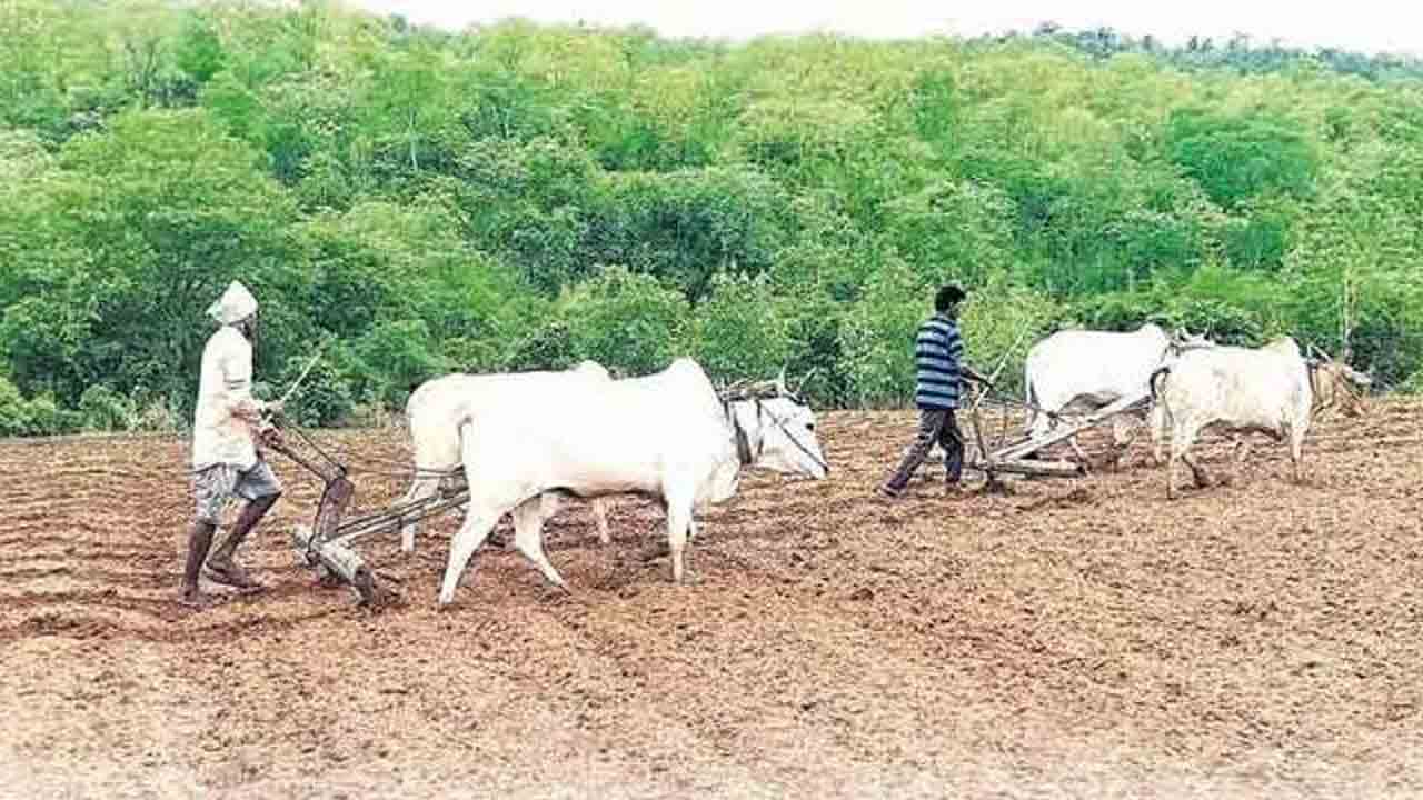 పోడు రైతుకు పట్టాభిషేకం