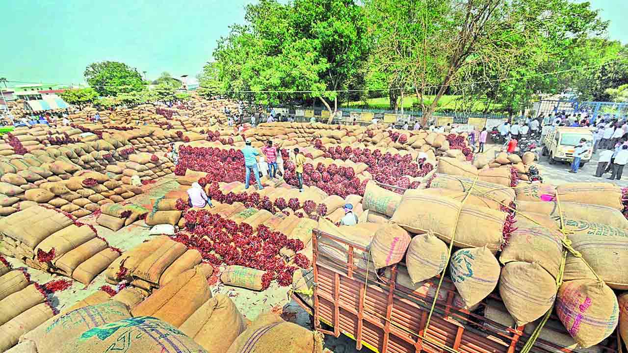 పోటెత్తిన ఎర్రబంగారం