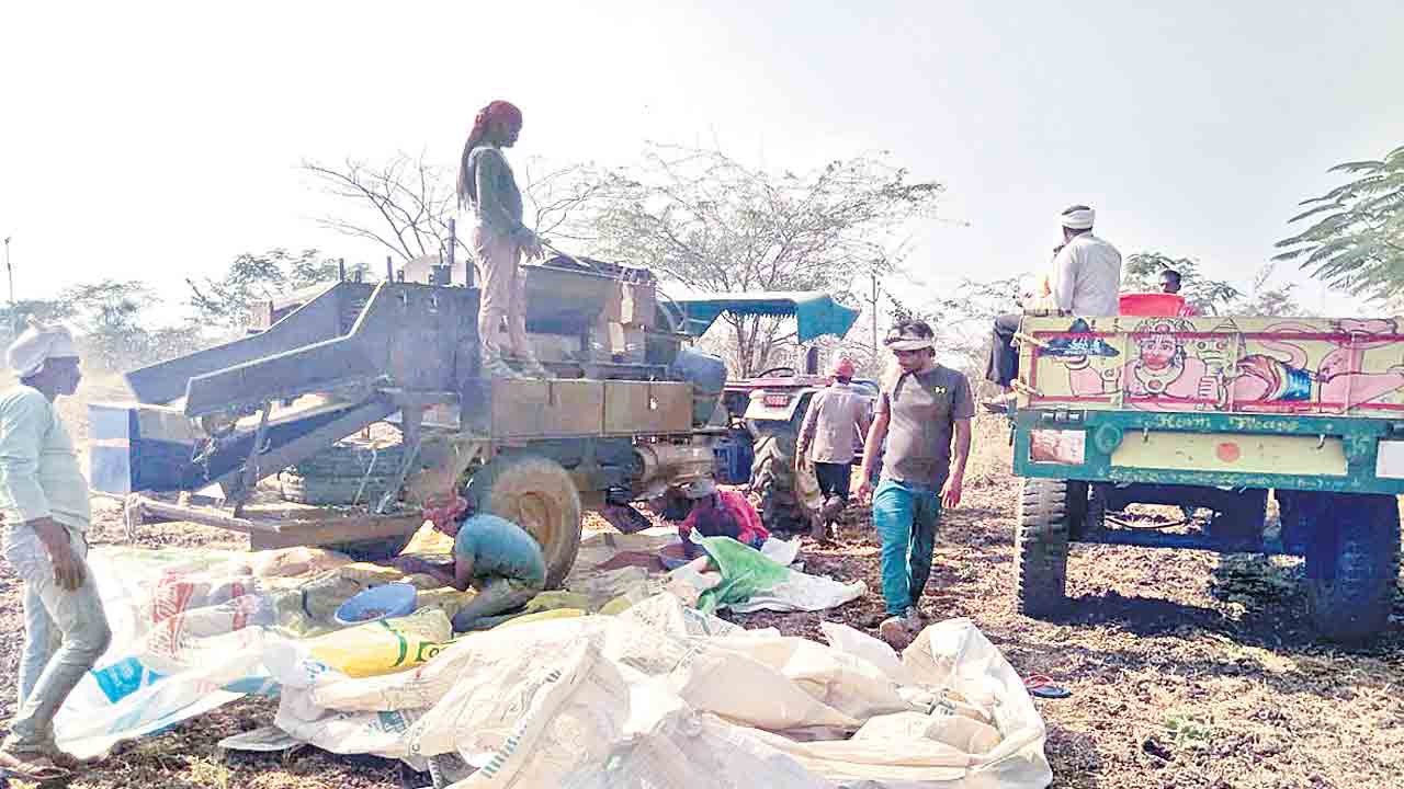 రాజస్థాన్‌, మధ్యప్రదేశ్‌ టు  బిచ్కుంద