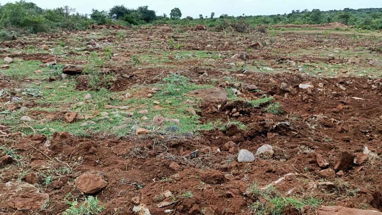 పోడు సంబురం.. త్వరలో కర్షకుల చేతికి పట్టాలు