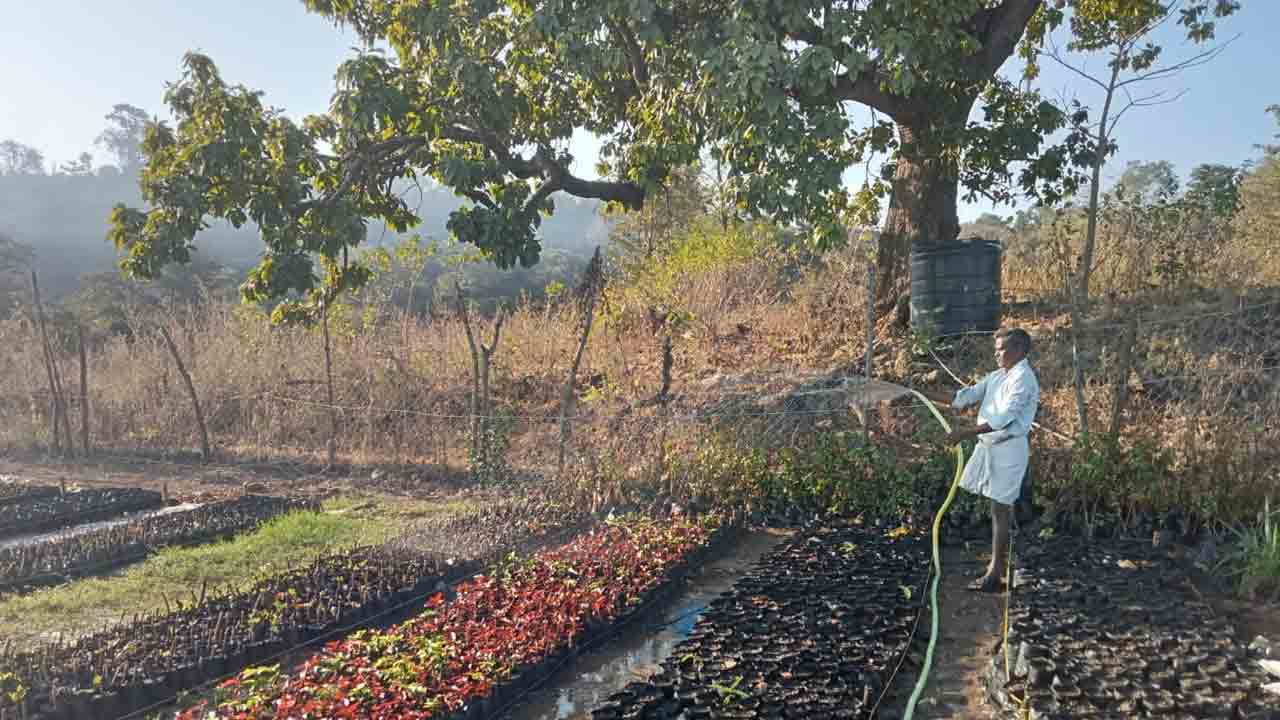 లక్ష్యం.. 4.80 లక్షల మొక్కలు