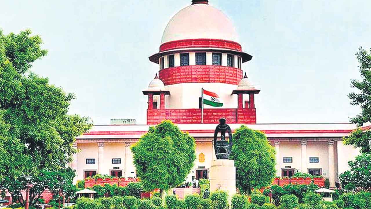 నామినేటెడ్‌ సభ్యులకు ఓటు హక్కు లేదు