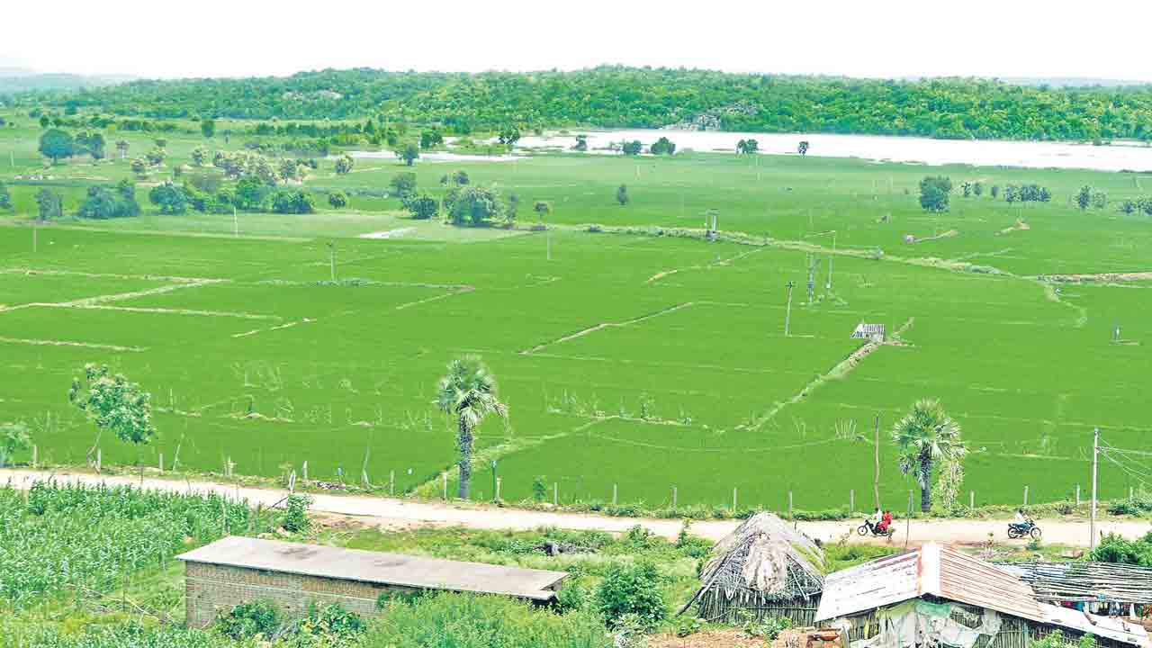 సాగు డబుల్‌