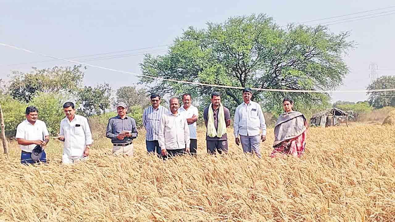 నివేదికను త్వరలో ప్రభుత్వానికి అందజేస్తాం