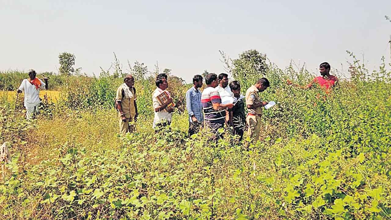 పోడుకు పట్టాలు..