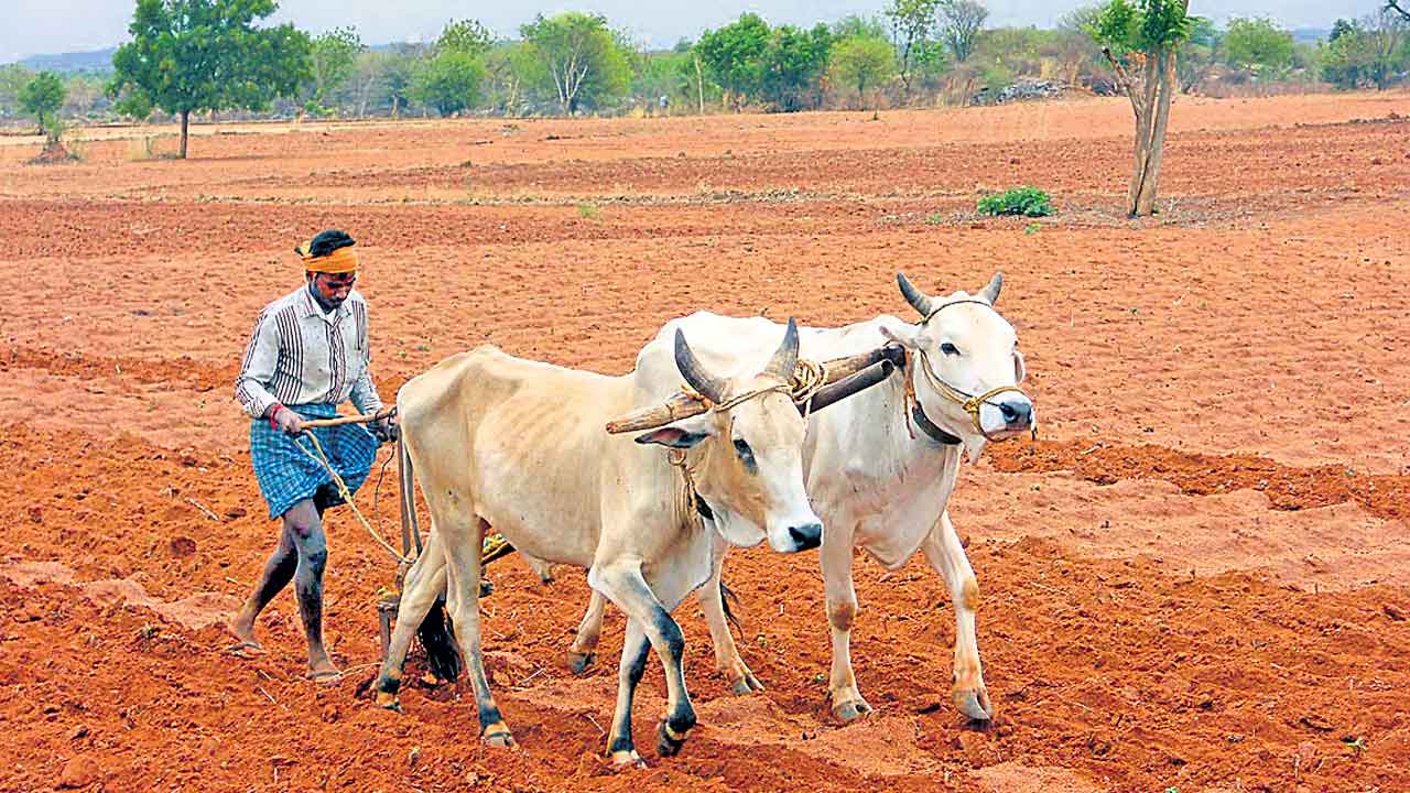 త్వరలో పోడు పట్టాలు