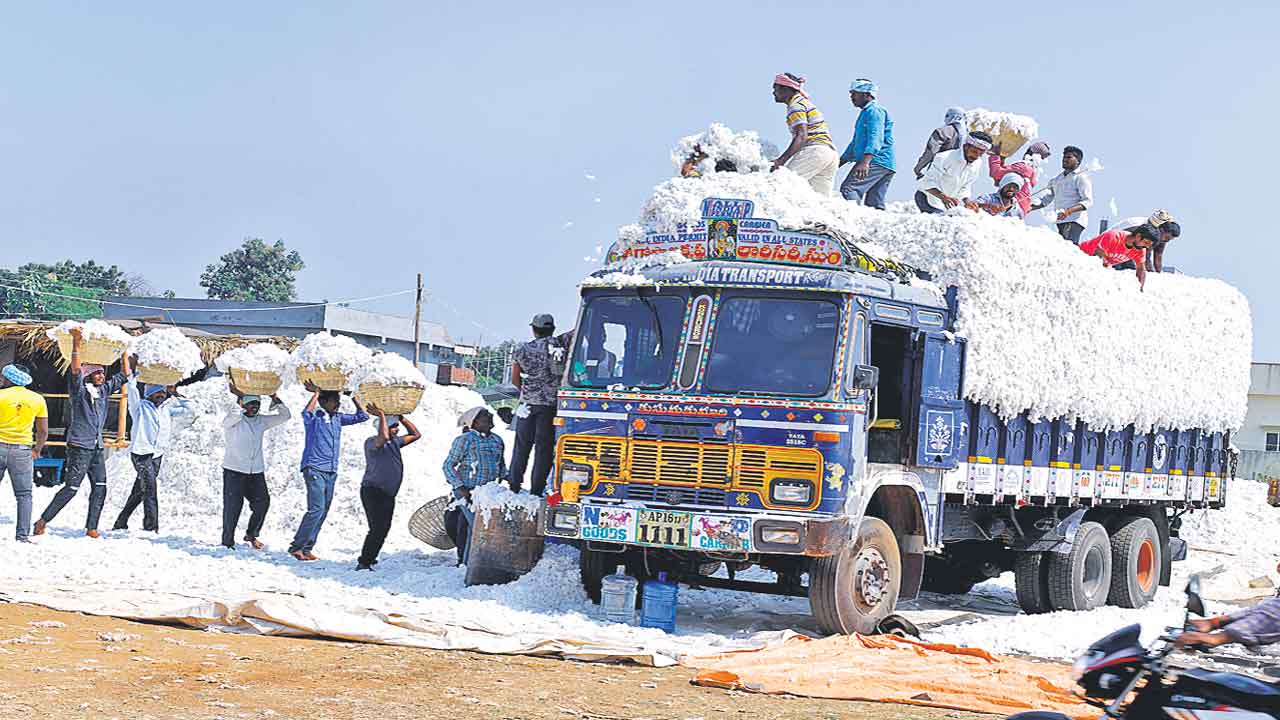 పత్తి కొనుగోలుకు లక్షే
