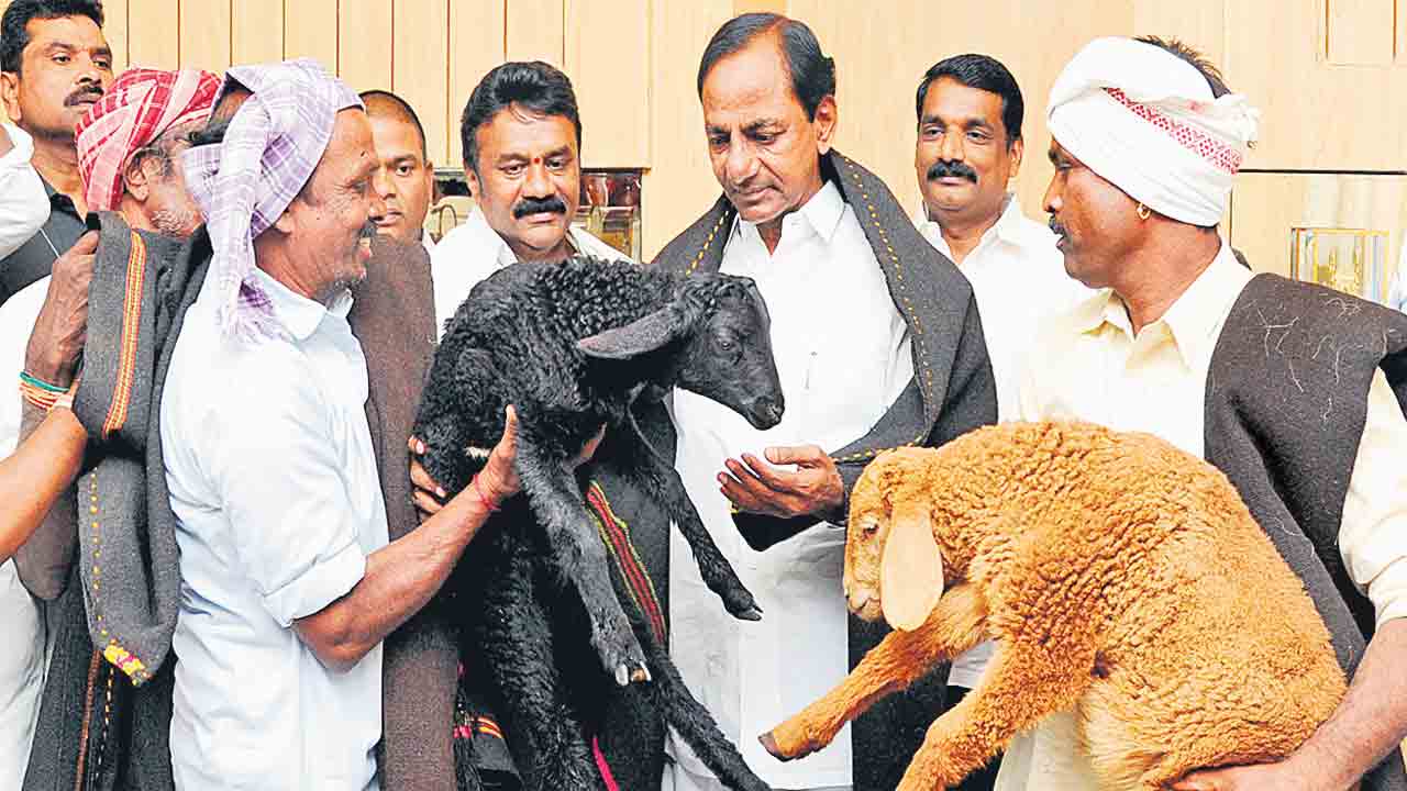 సబ్బండ వర్ణాల సంక్షేమ సంబురం