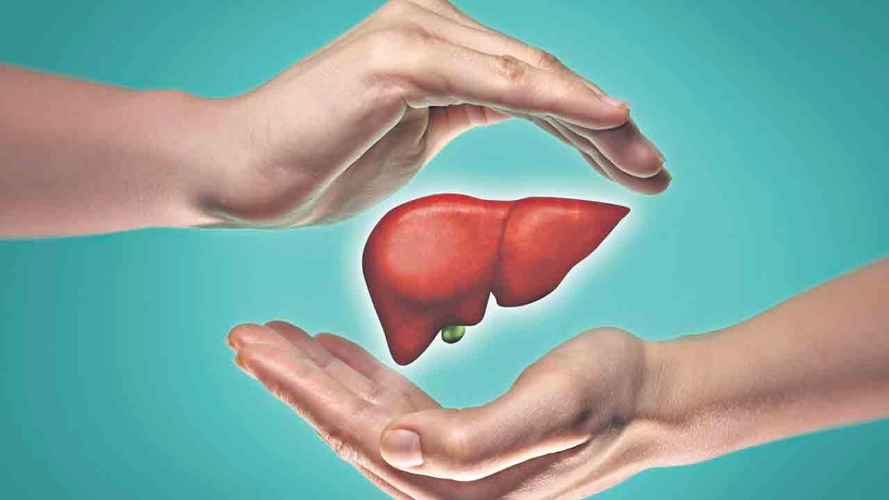 కాలేయ పునరుత్పత్తికి గోళీ!