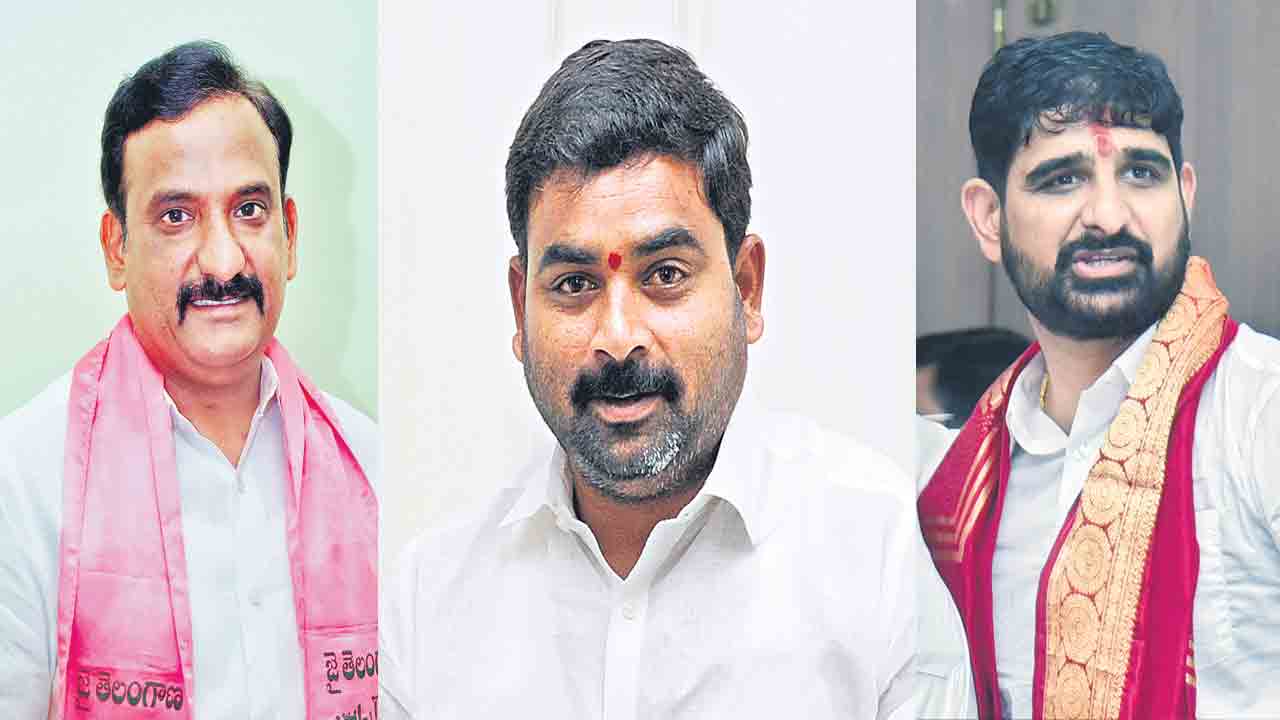 మండలి చీఫ్‌విప్‌గా భానుప్రసాదరావు