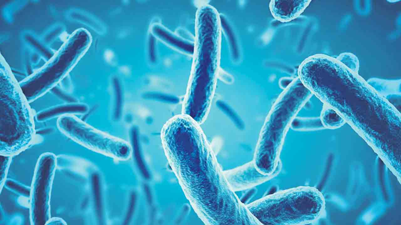 శరీర ఉష్ణోగ్రతకూ ఓ బగ్‌!