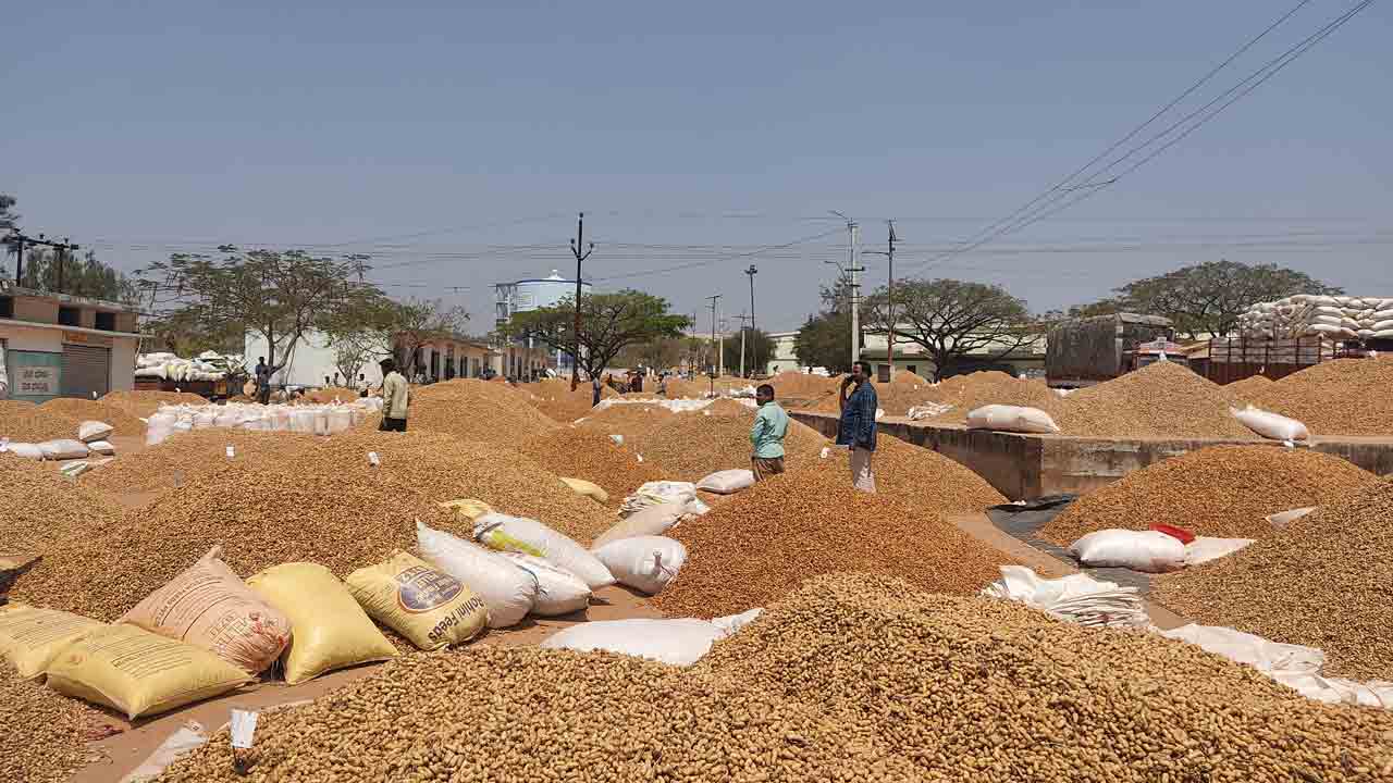 పంట పండింది