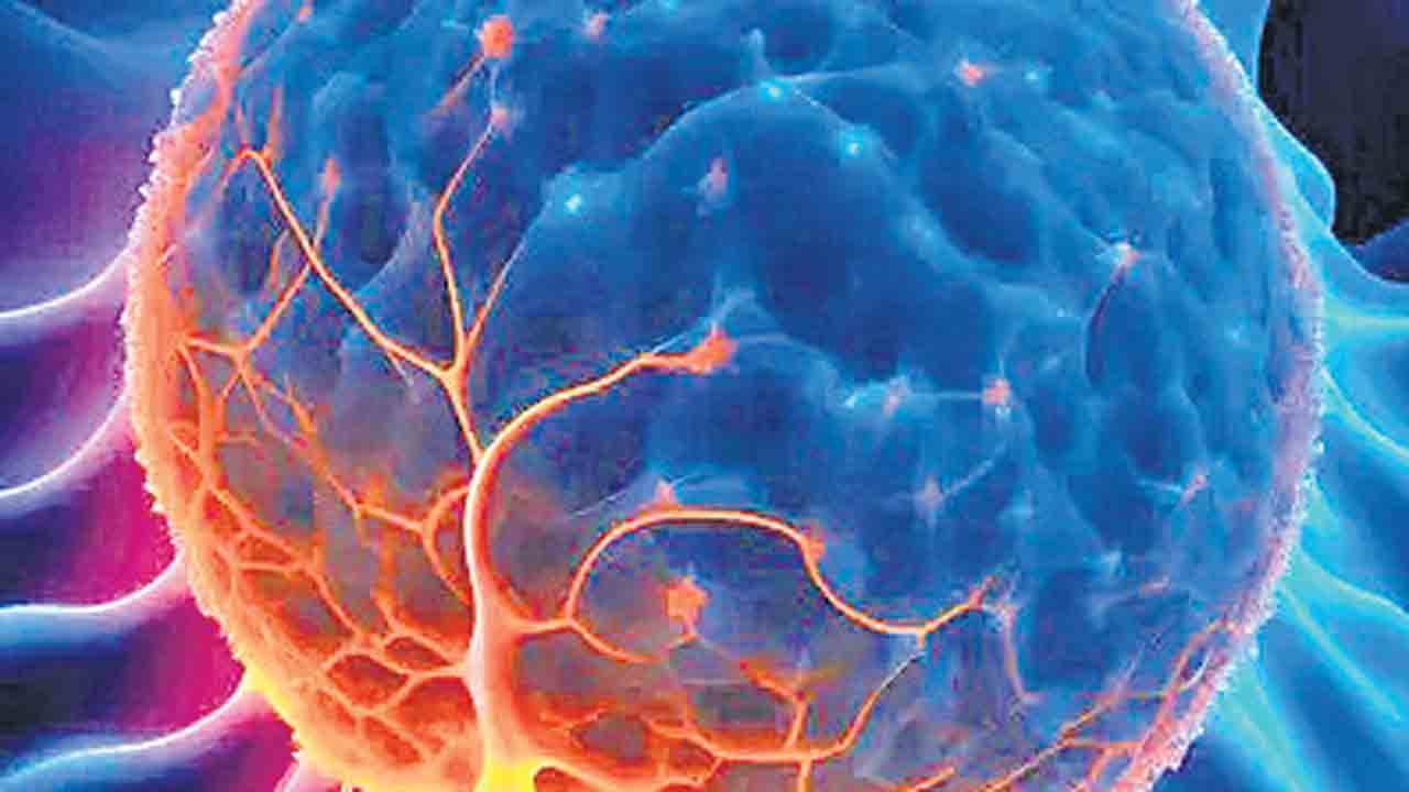 క్యాన్సర్‌కు ఎల్‌ఈడీ చికిత్స!