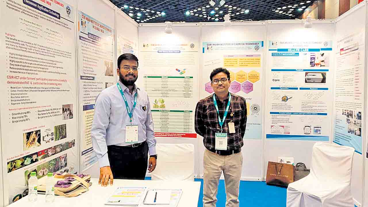 కెమికల్‌ రంగంలో ఐఐసీటీ కీలకపాత్ర