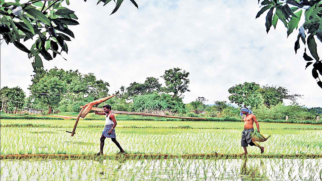 అన్నదాతకు అప్పే దిక్కు.. వ్యవసాయ రుణాలకే కేంద్ర బడ్జెట్‌ పరిమితం