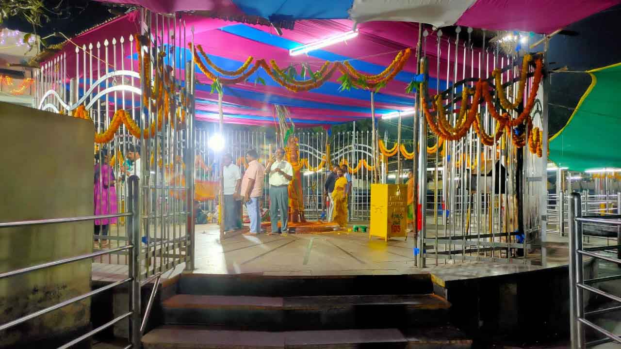 వన దేవతల పండుగొచ్చె..