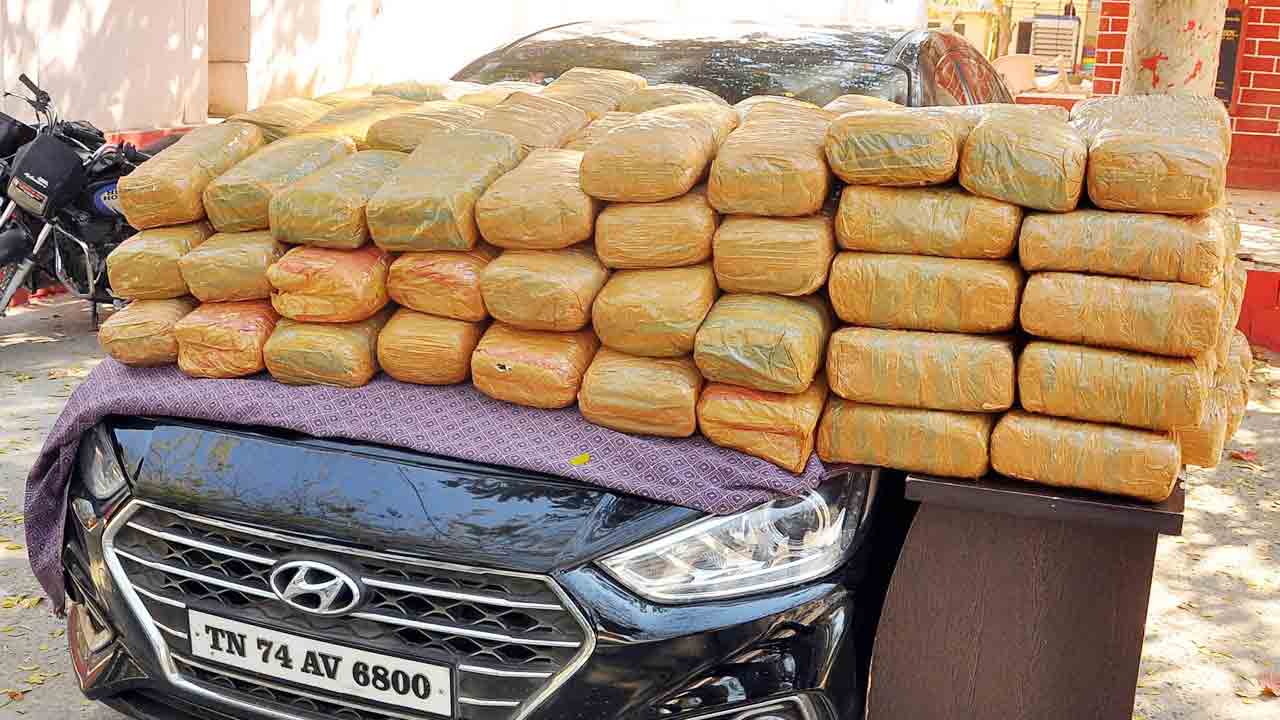 గంజాయి రవాణా చేస్తున్న నిందితుడి అరెస్ట్‌