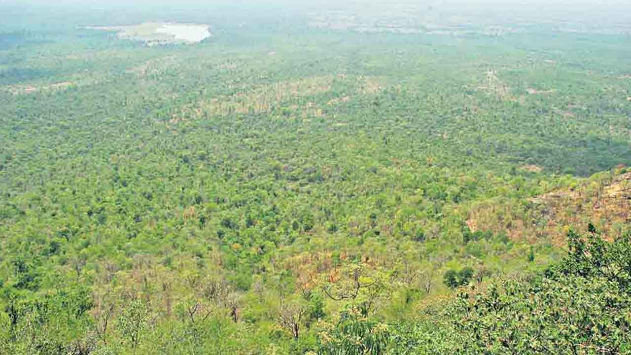 అమ్రాబాద్‌ అడవిపై నిఘా సక్సెస్‌