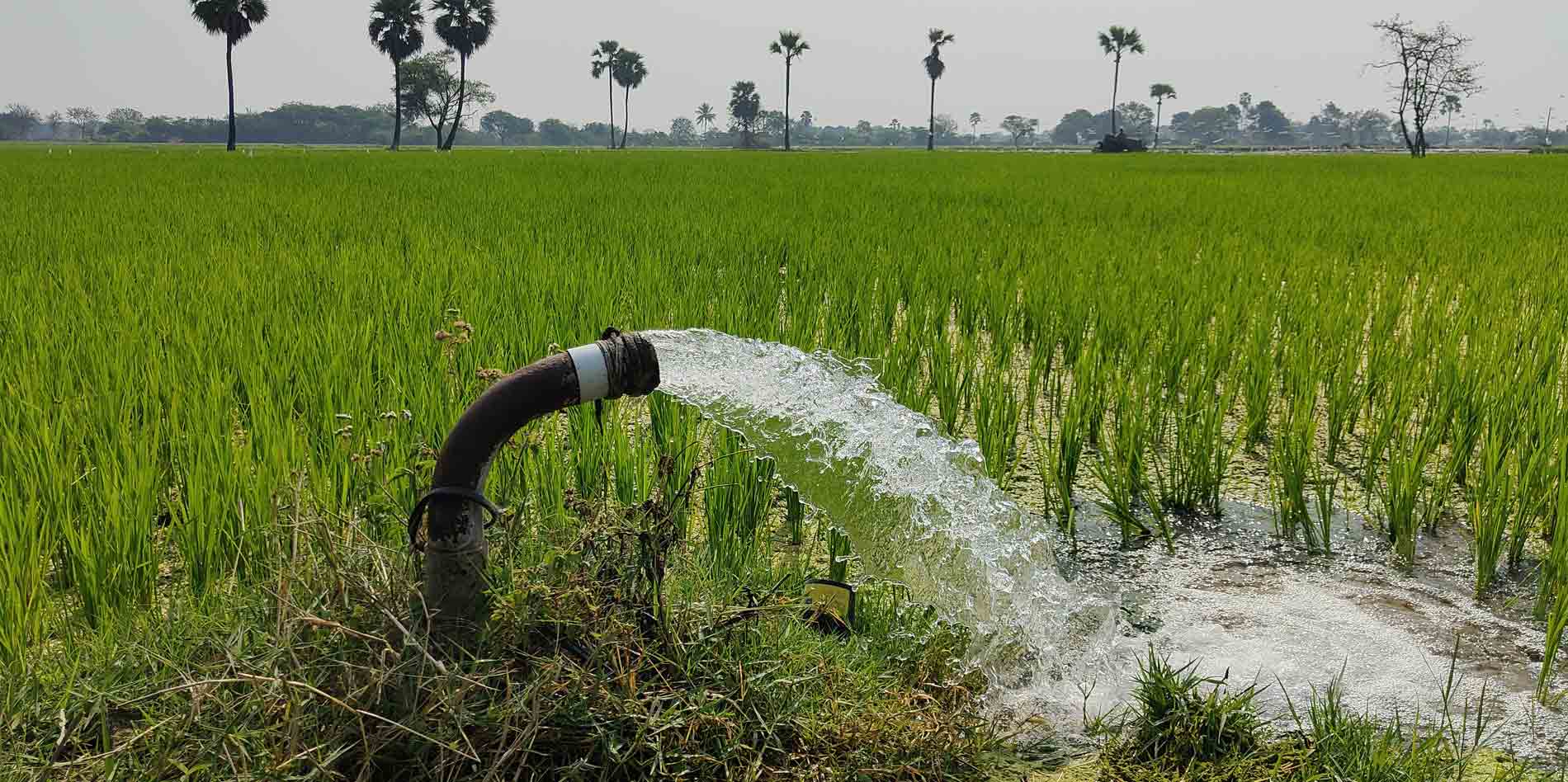 కనెక్షన్లు పెరిగినా కోతల్లేని కరంట్‌