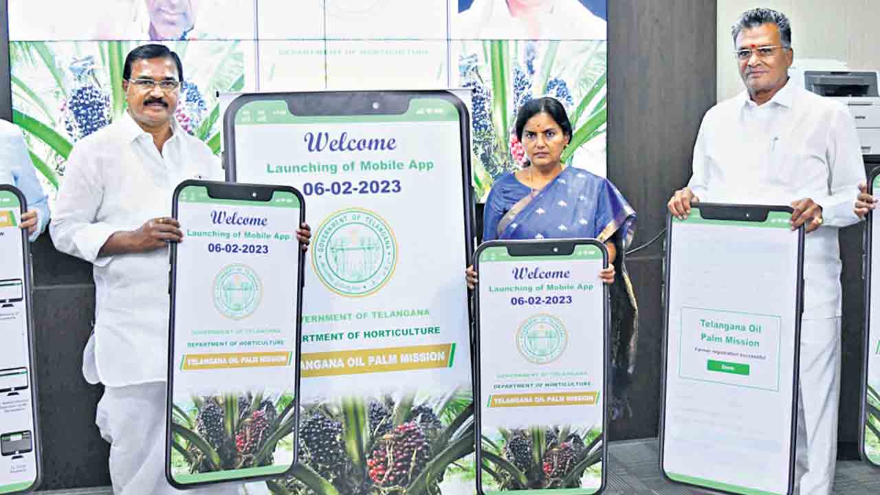 సాగుకు ఊతమిచ్చే పద్దు