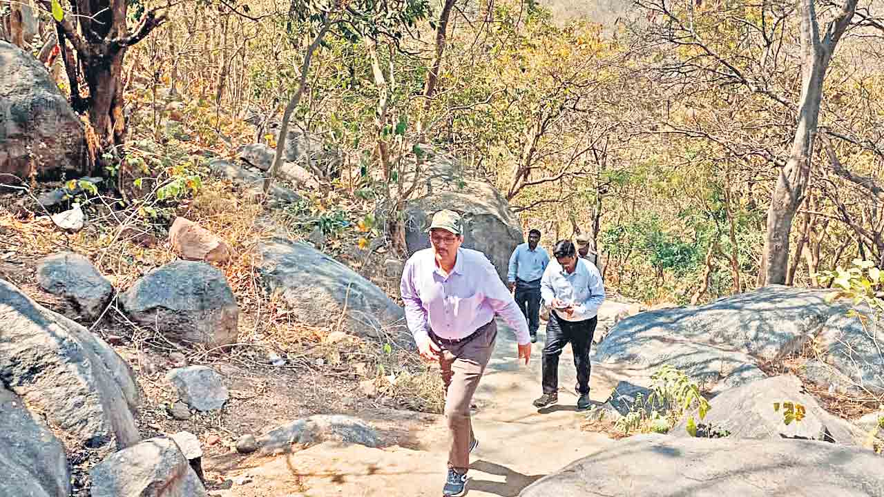 కొడిమ్యాల అటవీ ప్రాంతం పునరుద్ధరణ