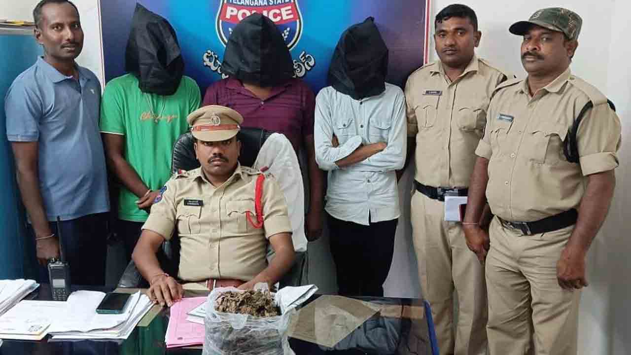 భూపాలపల్లిలో 975గ్రాముల గంజాయి పట్టివేత