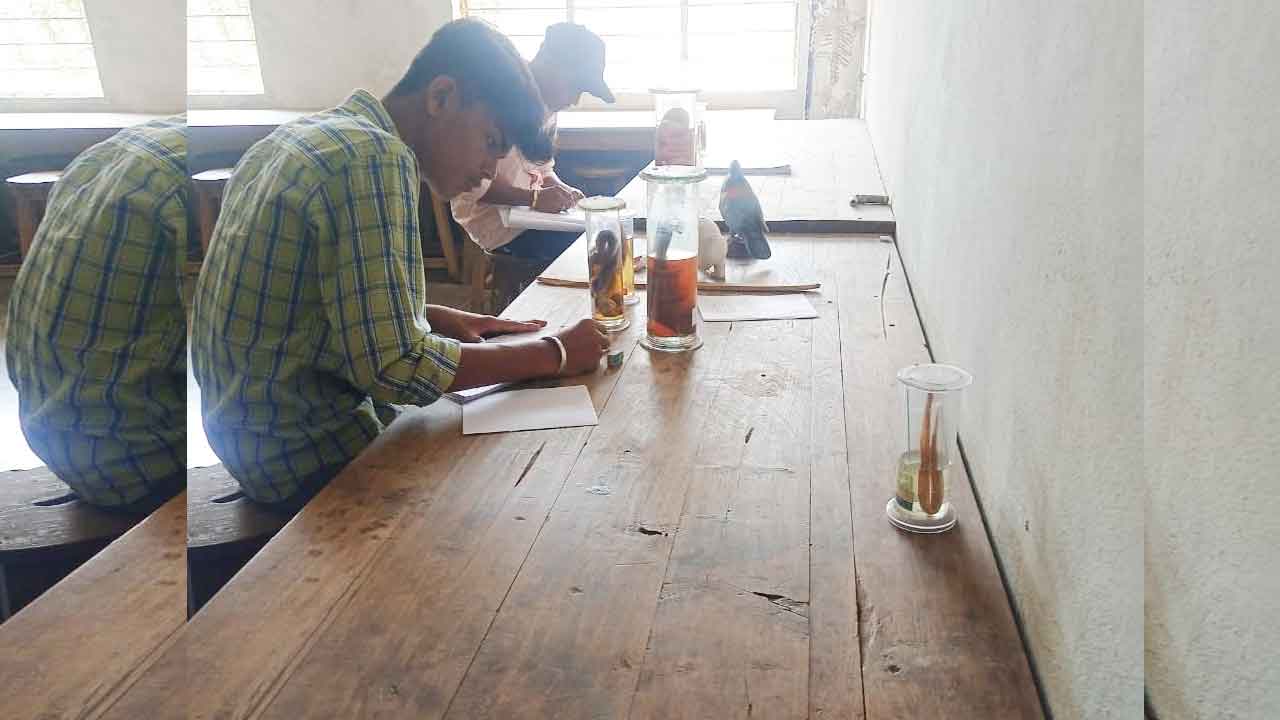 నేటి నుంచి ఇంటర్మీడియట్‌ ప్రాక్టికల్స్‌