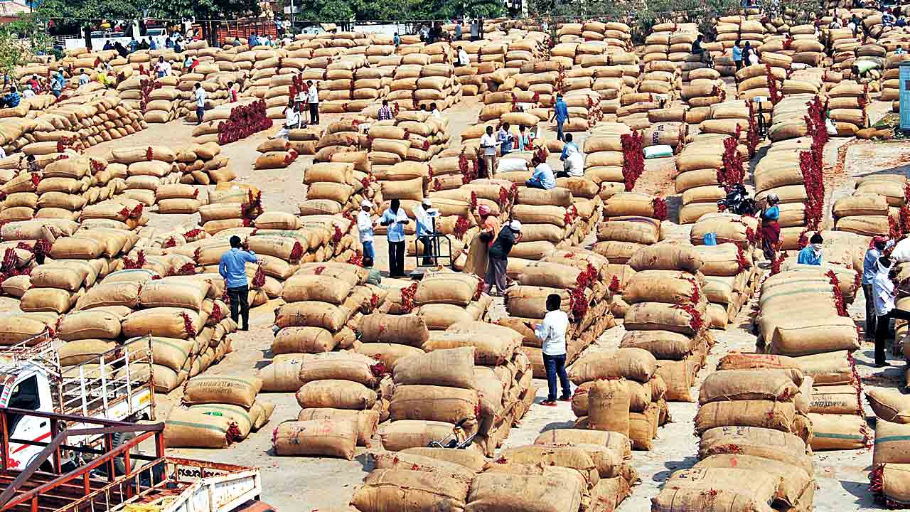 ఎనుమాములకు 50 వేల మిర్చి బస్తాలు