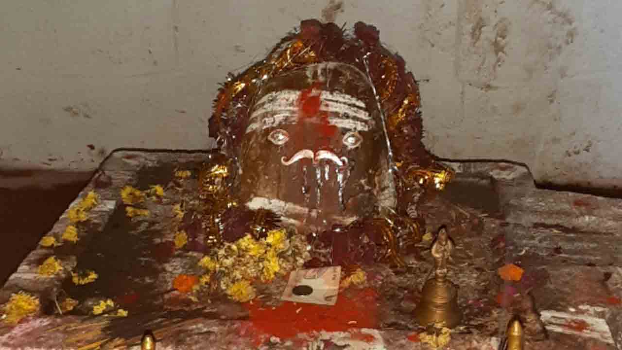 నల్లమలలో చెంచుల జాతర