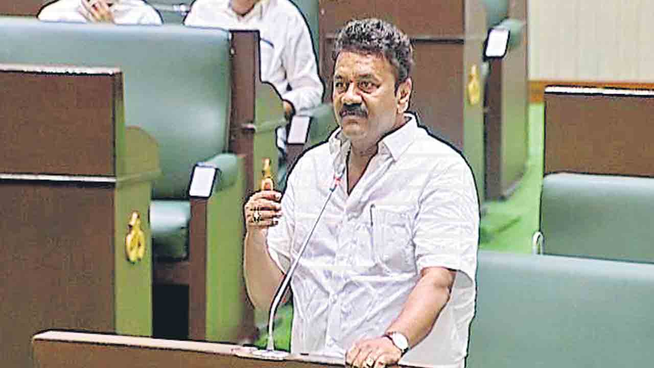 త్వరలో రెండో విడత గొర్రెల పంపిణీ