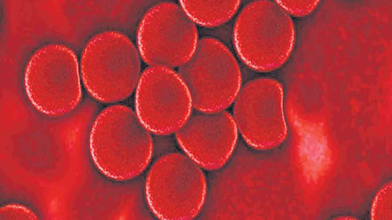 రక్తం గడ్డకట్టే ముప్పును తగ్గించే వ్యాక్సిన్‌