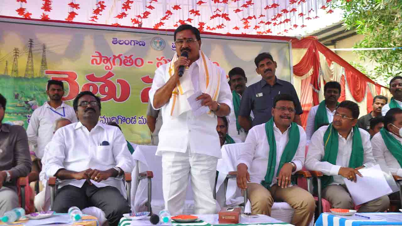 వైవిధ్యమైన పంటలు సాగు చేయాలి