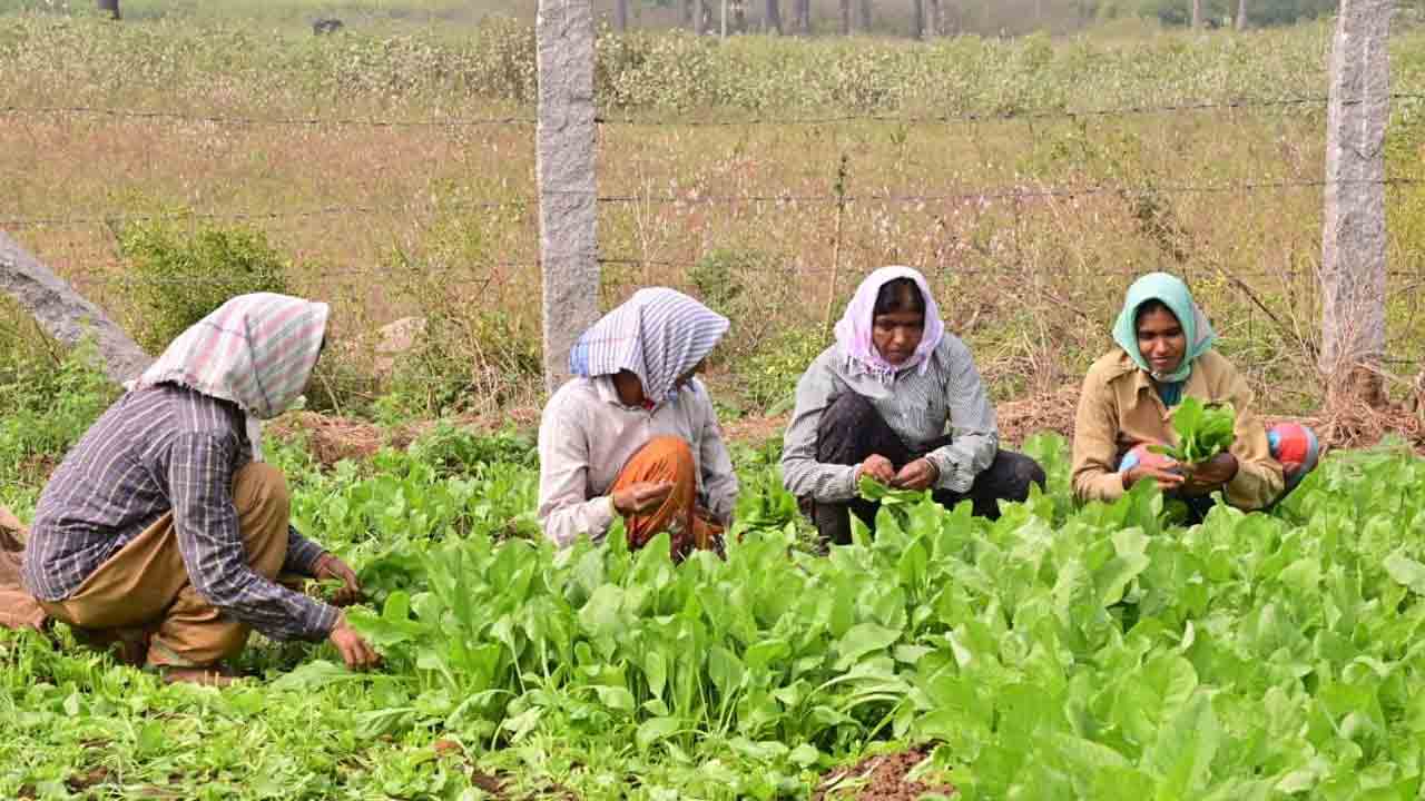 పల్లెలకు ప్రత్యేకంగా నిధులు కేటాయిస్తున్న తెలంగాణ ప్రభుత్వం