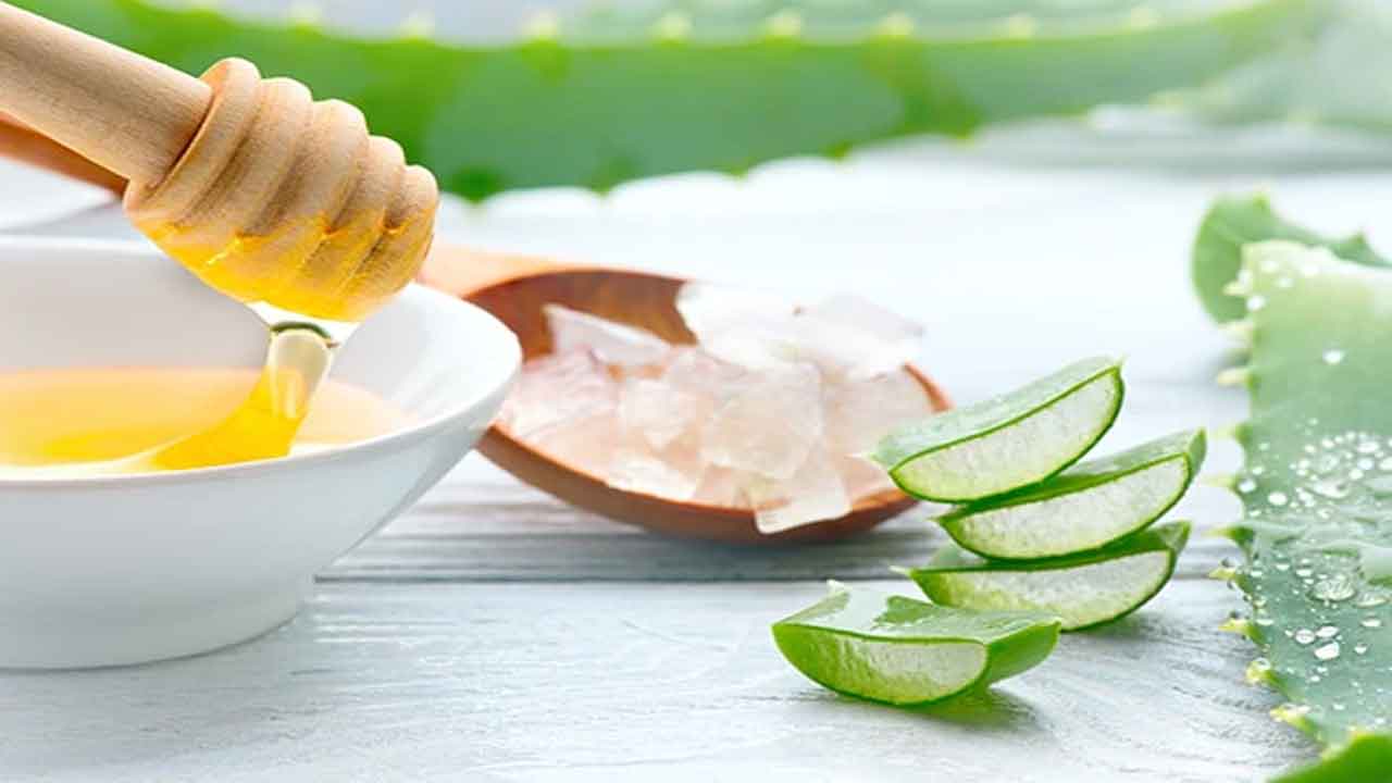 Aloe vera | శరీరం బరువు తగ్గించుకోవాలని చూస్తున్నారా..? అలోవెరాను డైట్‌లో చేర్చుకోండి..!