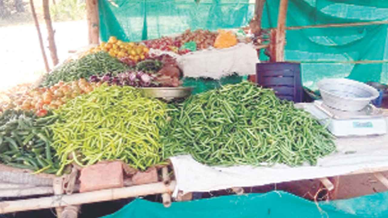 కూరగాయల సాగులో దిట్ట.. కన్నాపురం రైతుబిడ్డ