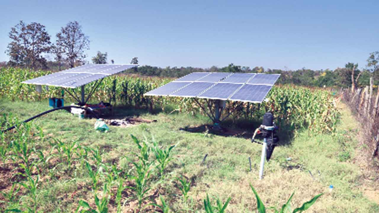 సాగులో సౌర కాంతులు