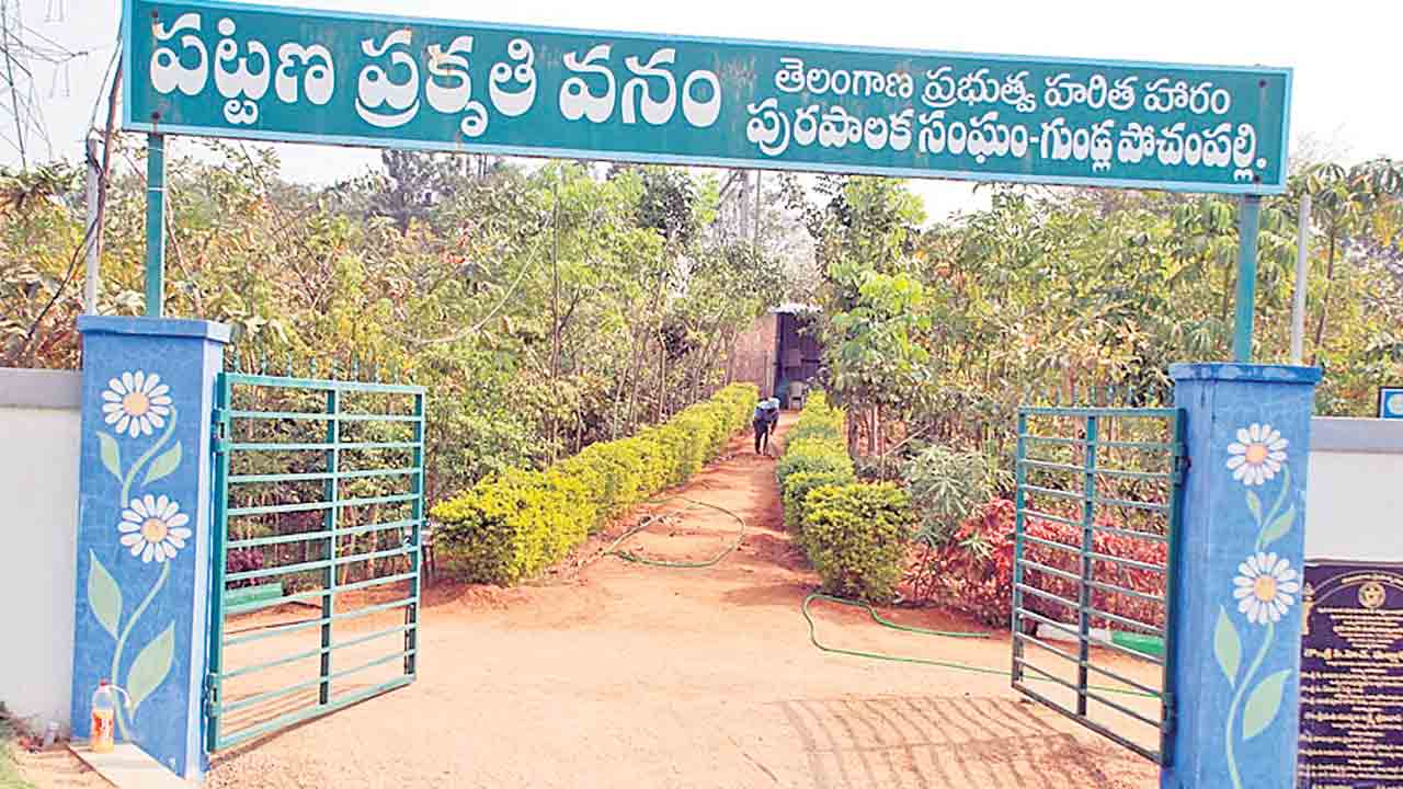 పల్లె మురిసె.. పట్నం మెరిసె!