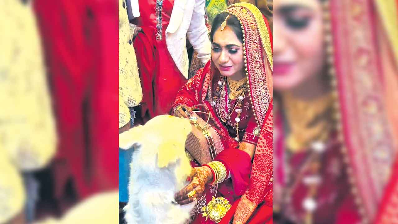 Viral Video : వెళ్లిపోమాకే..